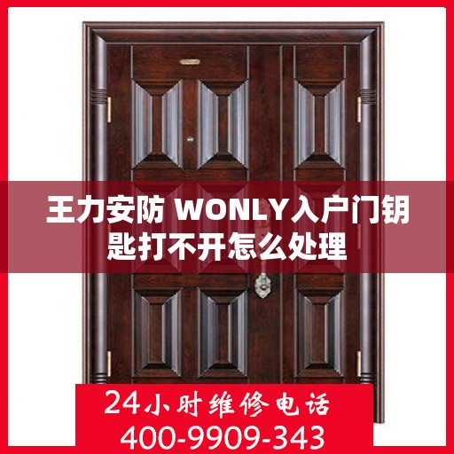 王力安防 WONLY入户门钥匙打不开怎么处理