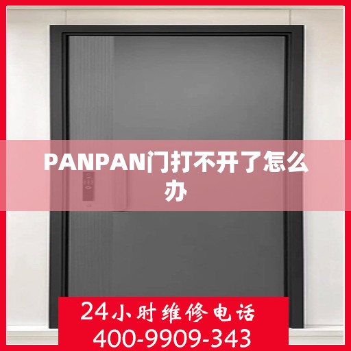 PANPAN门打不开了怎么办