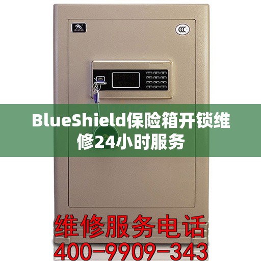 BlueShield保险箱开锁维修24小时服务