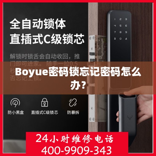 Boyue密码锁忘记密码怎么办？