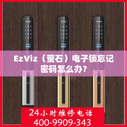 EzViz（萤石）电子锁忘记密码怎么办？