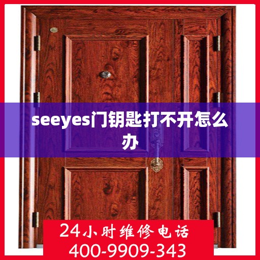 seeyes门钥匙打不开怎么办