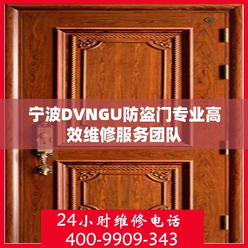 宁波DVNGU防盗门专业高效维修服务团队