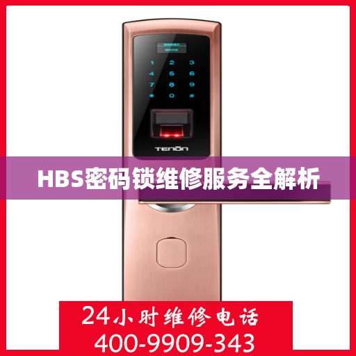 HBS密码锁维修服务全解析