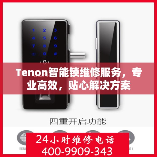 Tenon智能锁维修服务，专业高效，贴心解决方案