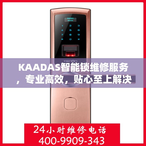 KAADAS智能锁维修服务，专业高效，贴心至上解决方案