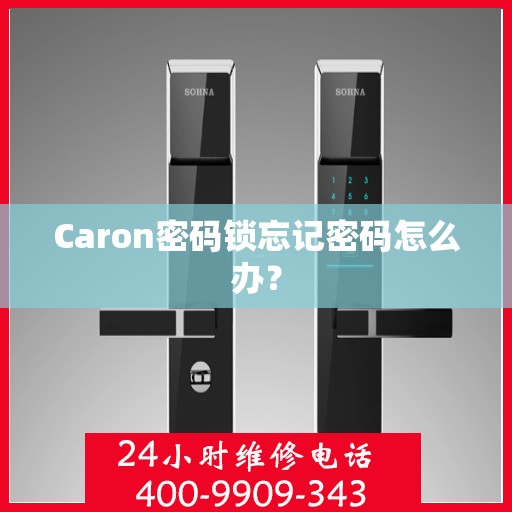 Caron密码锁忘记密码怎么办？