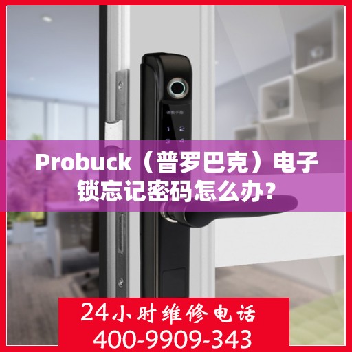 Probuck（普罗巴克）电子锁忘记密码怎么办？