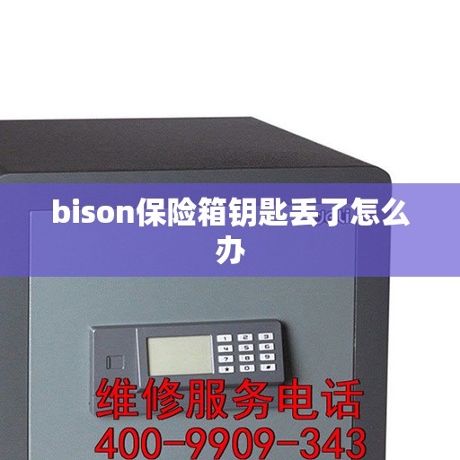 bison保险箱钥匙丢了怎么办