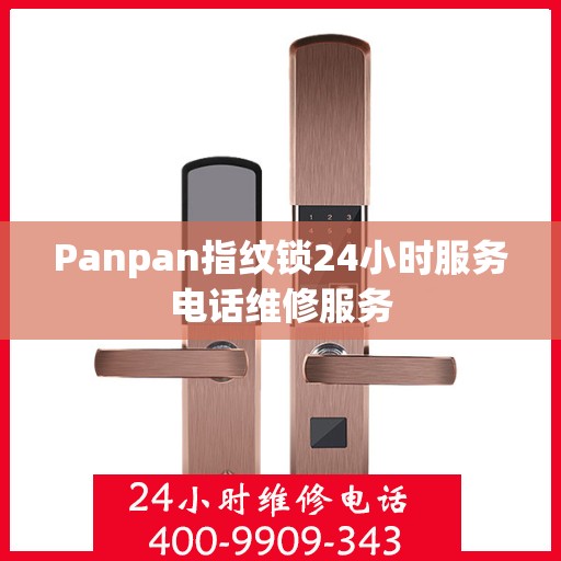 Panpan指纹锁24小时服务电话维修服务