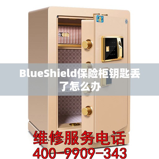 BlueShield保险柜钥匙丢了怎么办