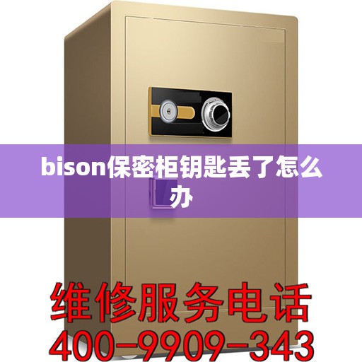 bison保密柜钥匙丢了怎么办