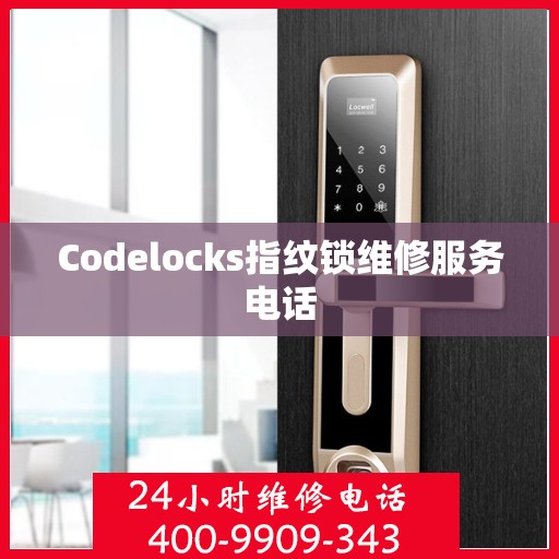 Codelocks指纹锁维修服务电话