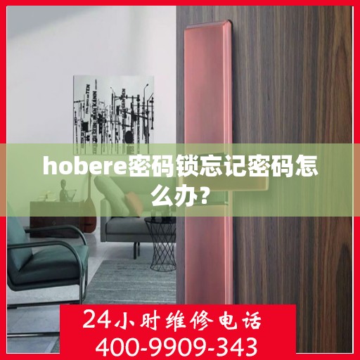 hobere密码锁忘记密码怎么办？