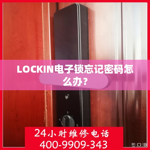 LOCKIN电子锁忘记密码怎么办？