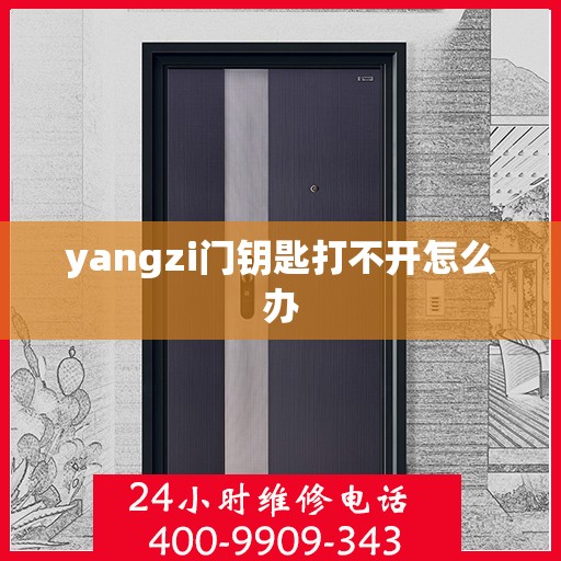 yangzi门钥匙打不开怎么办