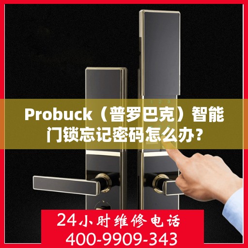 Probuck（普罗巴克）智能门锁忘记密码怎么办？