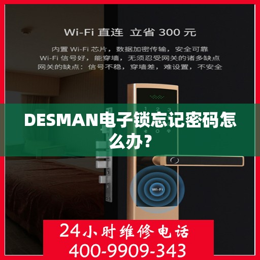 DESMAN电子锁忘记密码怎么办？