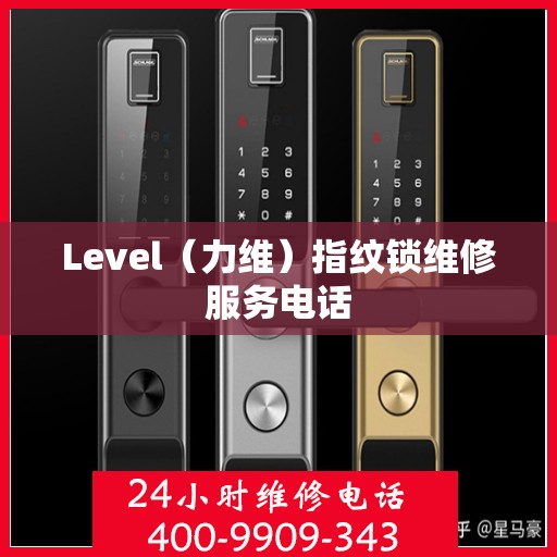 Level（力维）指纹锁维修服务电话