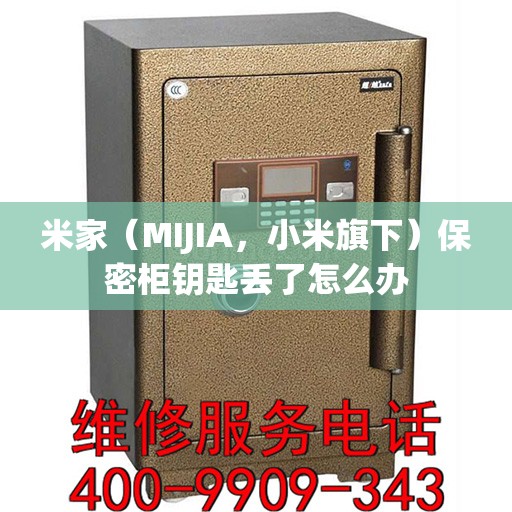 米家（MIJIA，小米旗下）保密柜钥匙丢了怎么办