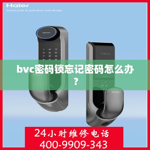 bvc密码锁忘记密码怎么办？