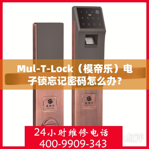 Mul-T-Lock（模帝乐）电子锁忘记密码怎么办？