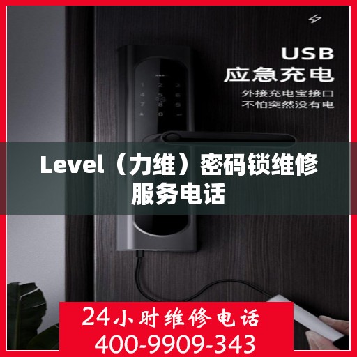 Level（力维）密码锁维修服务电话