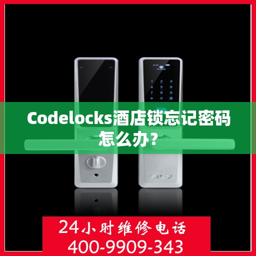 Codelocks酒店锁忘记密码怎么办？