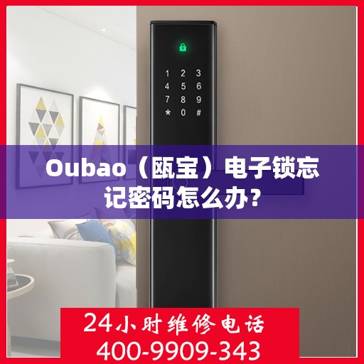 Oubao（瓯宝）电子锁忘记密码怎么办？