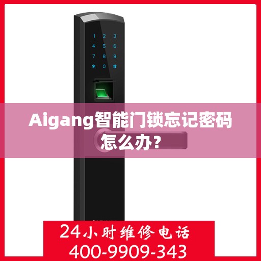 Aigang智能门锁忘记密码怎么办？