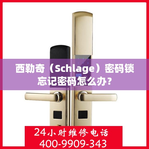 西勒奇（Schlage）密码锁忘记密码怎么办？