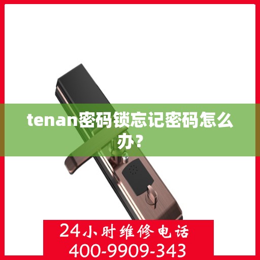 tenan密码锁忘记密码怎么办？