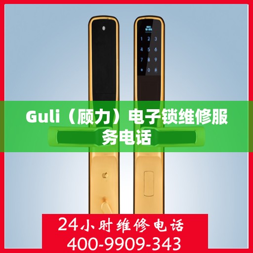 Guli（顾力）电子锁维修服务电话