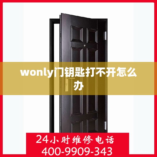 wonly门钥匙打不开怎么办