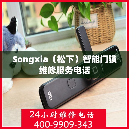 Songxia（松下）智能门锁维修服务电话