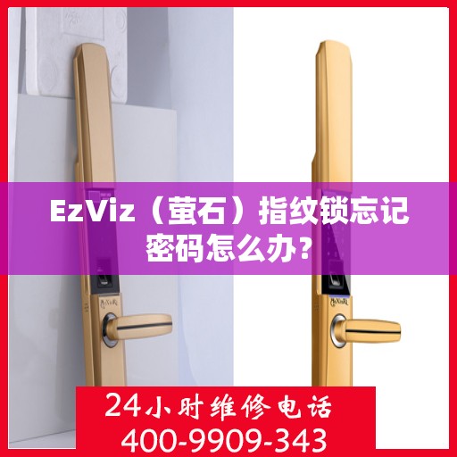 EzViz（萤石）指纹锁忘记密码怎么办？