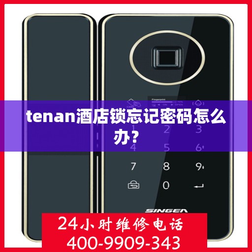 tenan酒店锁忘记密码怎么办？