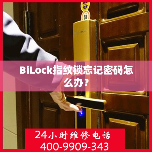 BiLock指纹锁忘记密码怎么办？