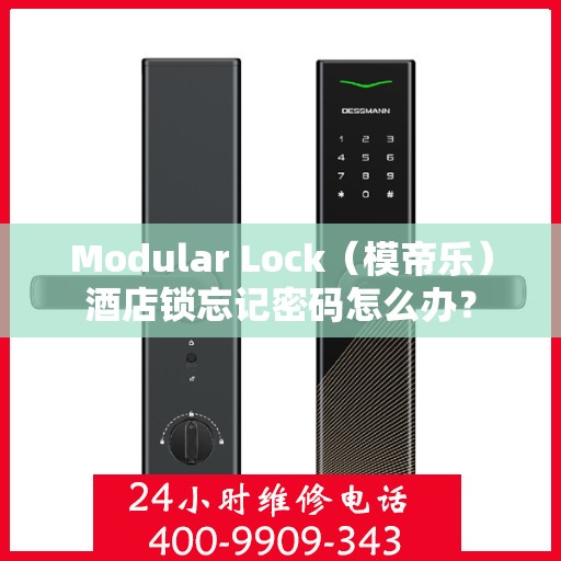 Modular Lock（模帝乐）酒店锁忘记密码怎么办？