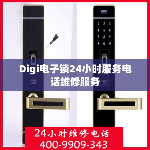 Digi电子锁24小时服务电话维修服务