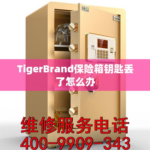 TigerBrand保险箱钥匙丢了怎么办