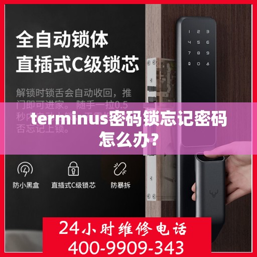 terminus密码锁忘记密码怎么办？