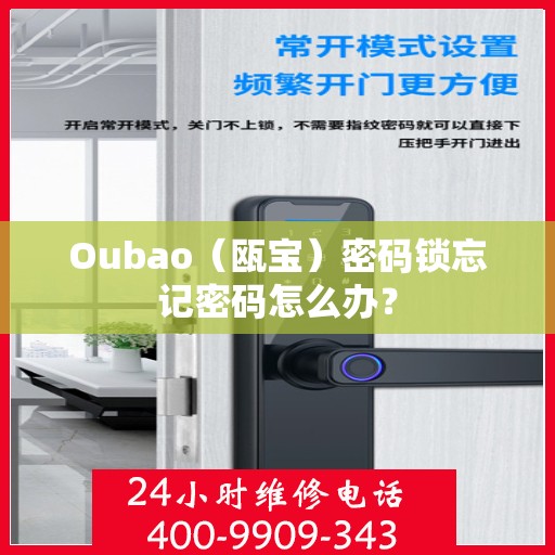 Oubao（瓯宝）密码锁忘记密码怎么办？