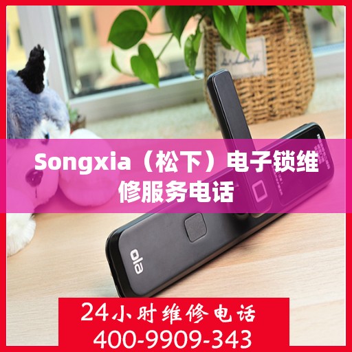 Songxia（松下）电子锁维修服务电话