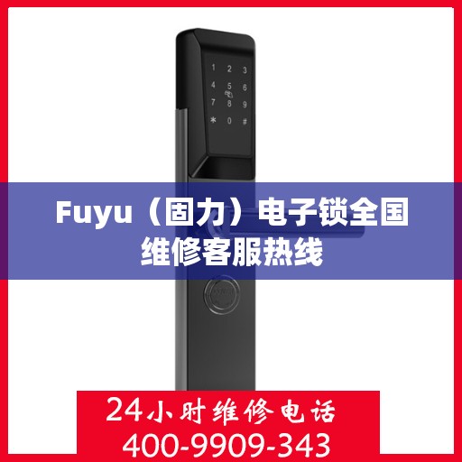 Fuyu（固力）电子锁全国维修客服热线