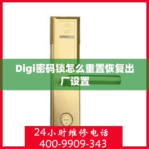 Digi密码锁怎么重置恢复出厂设置