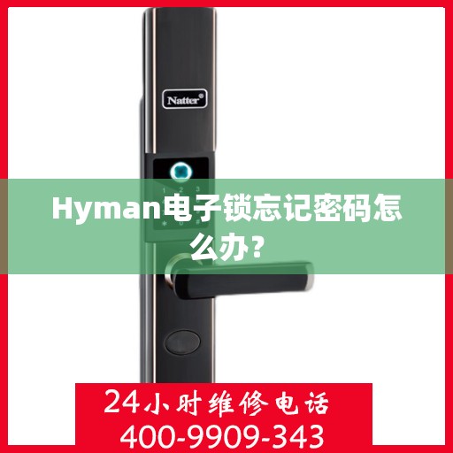 Hyman电子锁忘记密码怎么办？