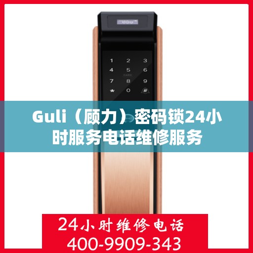 Guli（顾力）密码锁24小时服务电话维修服务