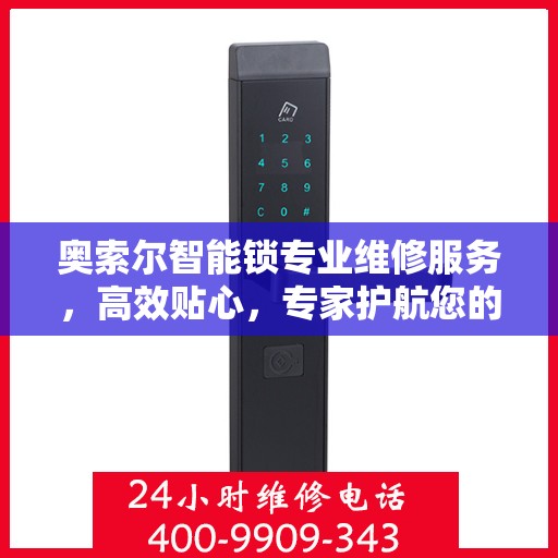 奥索尔智能锁专业维修服务，高效贴心，专家护航您的安全之选