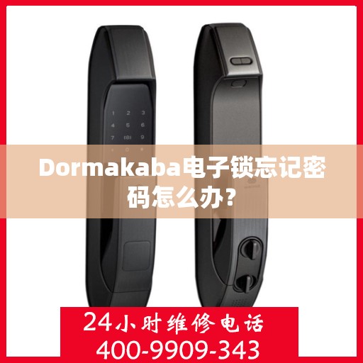 Dormakaba电子锁忘记密码怎么办？